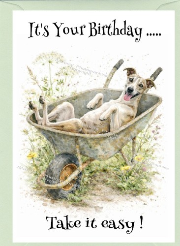 Whippet dog birthday - whippet, card