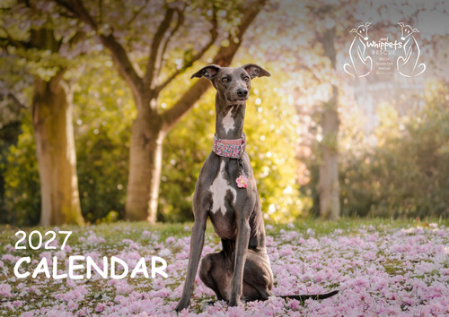 2027 just whippets rescue - 2027,