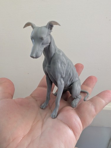 Greyhound lurcher whippet - lurcher, home