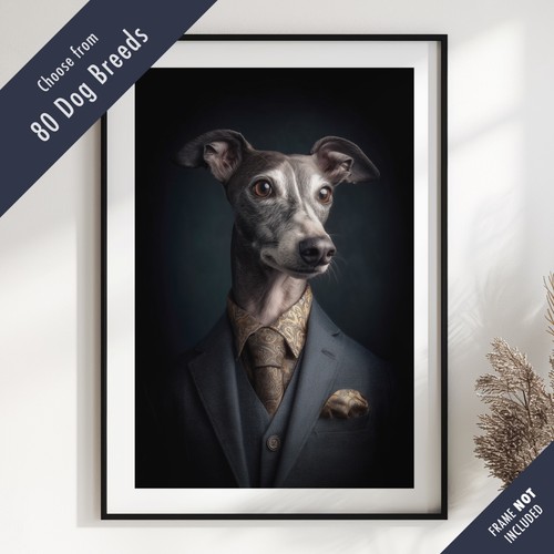 Smartly dressed dog portrait - smartly,