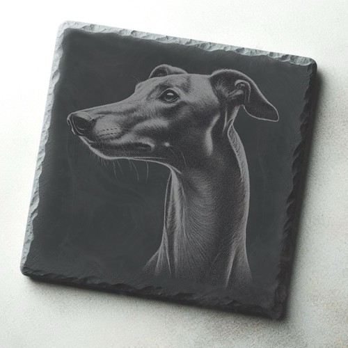Greyhound whippet slate - greyhound,