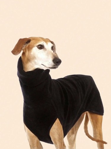 Dog pet whippet jacket winter - dog,