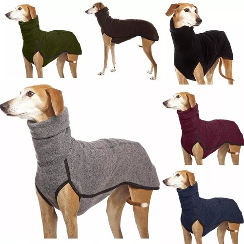 Pet dog winter high collar - winter,