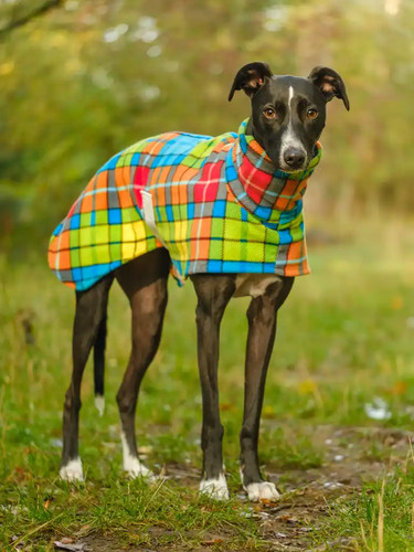 Bright tartan fleece - 22”,