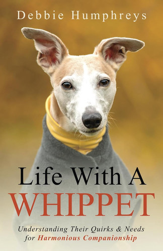 Life with whippet - life,