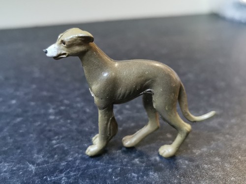 Panini whippet - panini,