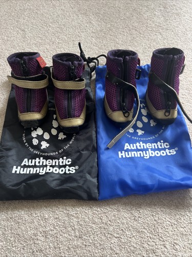 Hunnyboots greyhound whippet - hunnyboots,