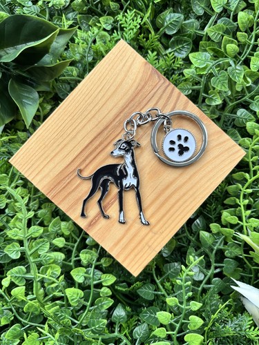 Black lurcher whippet - black,