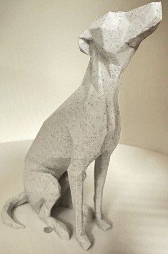 Whippet head tilt - whippet, dog