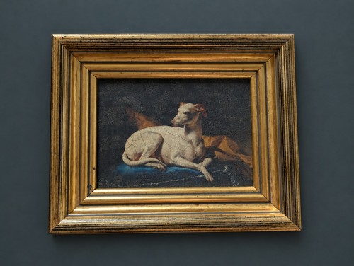 Framed italian greyhound - framed,