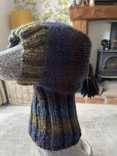 Knitted dog hat - , for