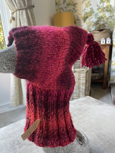 Knitted dog hat for