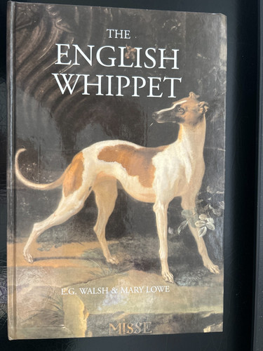 The english whippet e g - the,