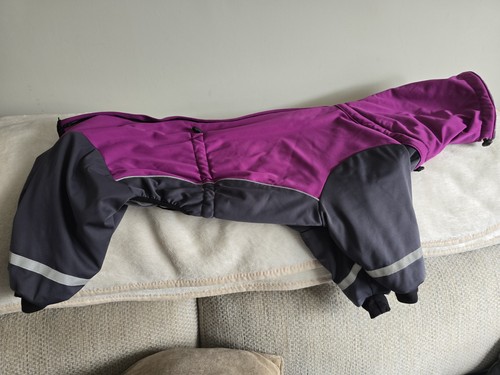 Dog gear whippet - gear,