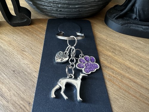 Whippet greyhound sighthound - whippet,