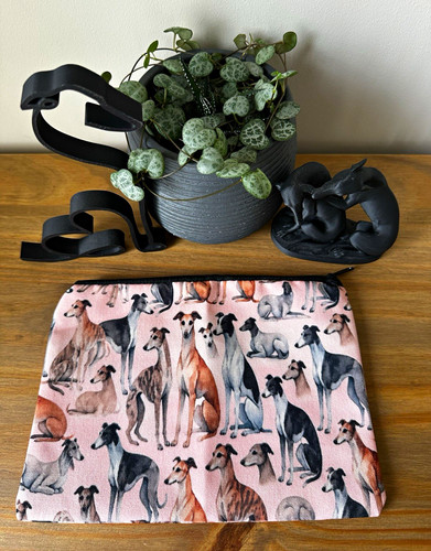 Multicolour whippet greyhound - multicolour,