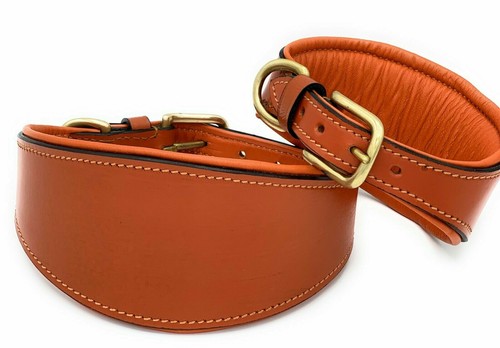 Whippet greyhound leather - leather, dog