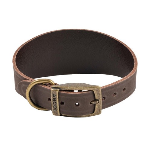 Premium leather whippet dog - leather,