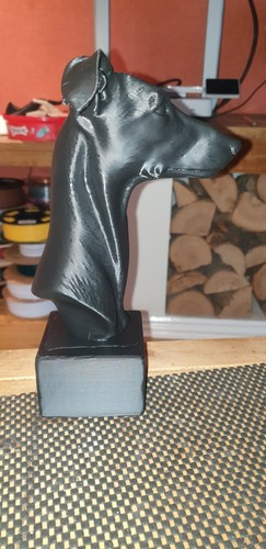 Whippet bust competition - whippet,