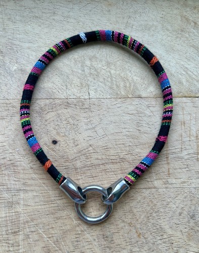 Whippet lurcher galgos - whippet,