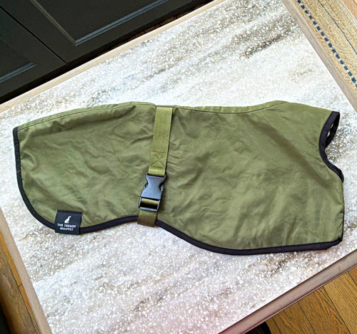 The trendy whippet olive - whippet, green