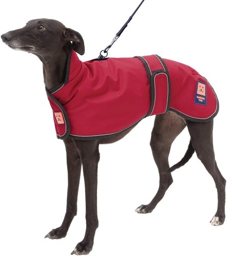 Ginger ted waterproof - ginger,