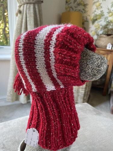 Knitted dog hat for