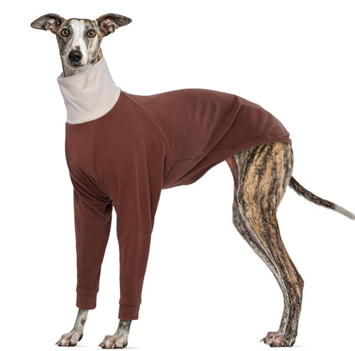 Whippet jumper for - jumper, lurcher