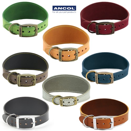 Dog collar whippet greyhound - whippet,
