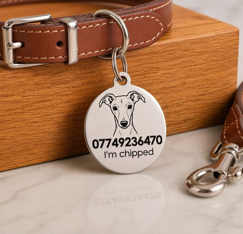 Personalised whippet dog - dog, id