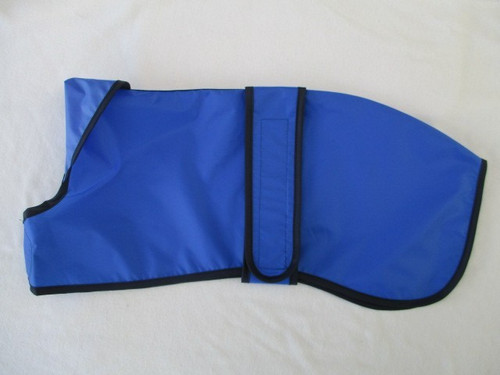 Clearance 43cm whippet - clearance,