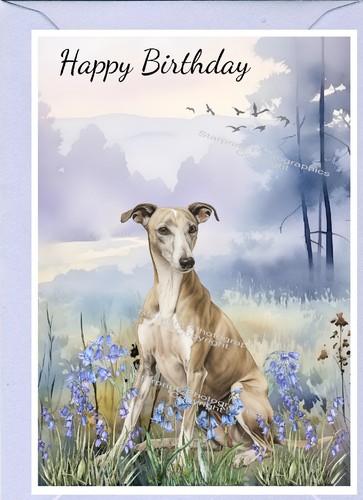 Whippet dog birthday - dog, card