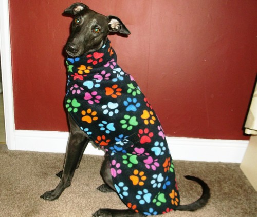 Whippet fleece dog coat - whippet,