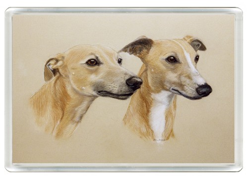Whippet dog fridge magnet - whippet,