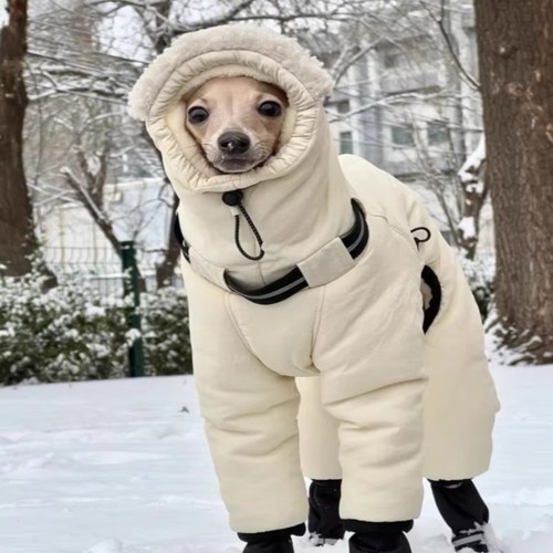 Waterproof winter dog jumpsuit - dog,