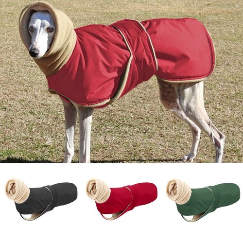 Winter pet dog high - pet, collar