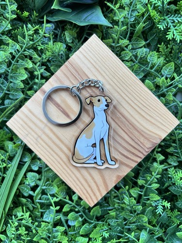 Whippet lurcher greyhound dog - whippet,