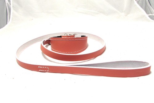 Whippet collar and - , in