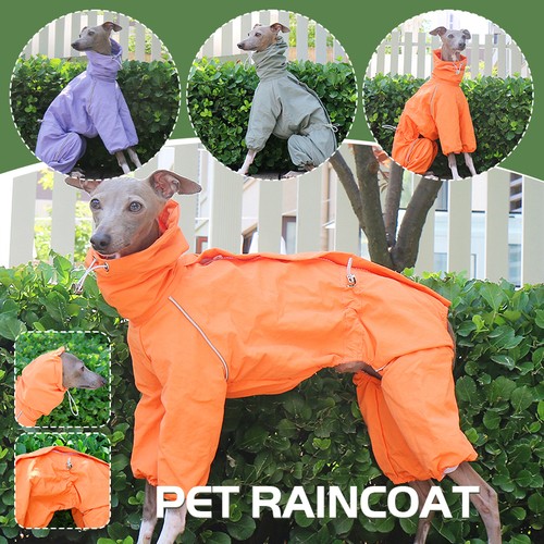 Dogs raincoat greyhound - raincoat,