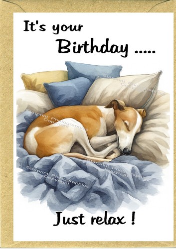 Whippet dog birthday - dog,