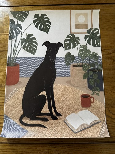 Boho black whippet greyhound - boho,