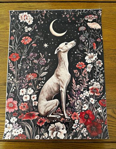 Whippet greyhound dog floral - greyhound,