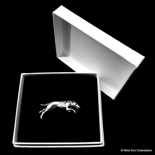 Greyhound whippet silver - greyhound,