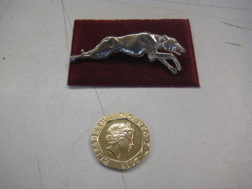 Greyhound whippet running dog - greyhound/whippet,