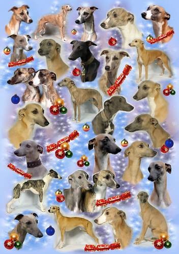 Whippet dog christmas wrapping - whippet,